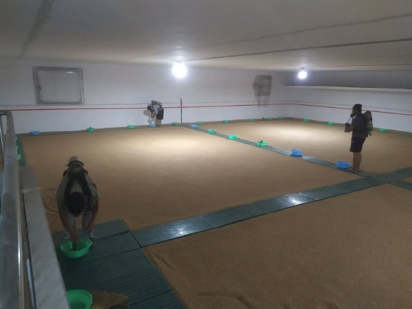 社会责任