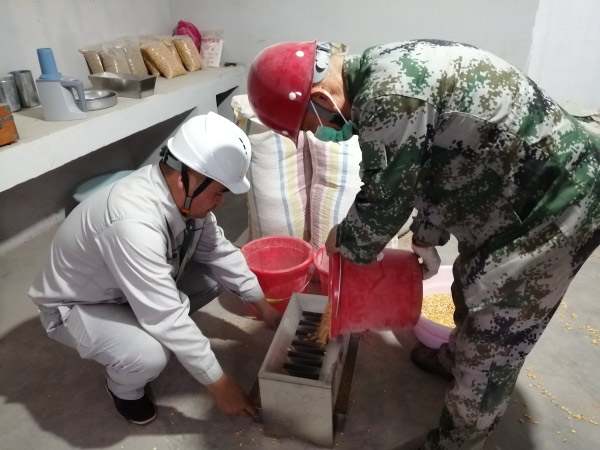 粮食仓储