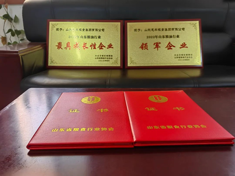喜报！山东惠丰粮食集团荣获“山东粮油行业领军企业”、“山东粮油行业最具成长性企业”两项荣誉