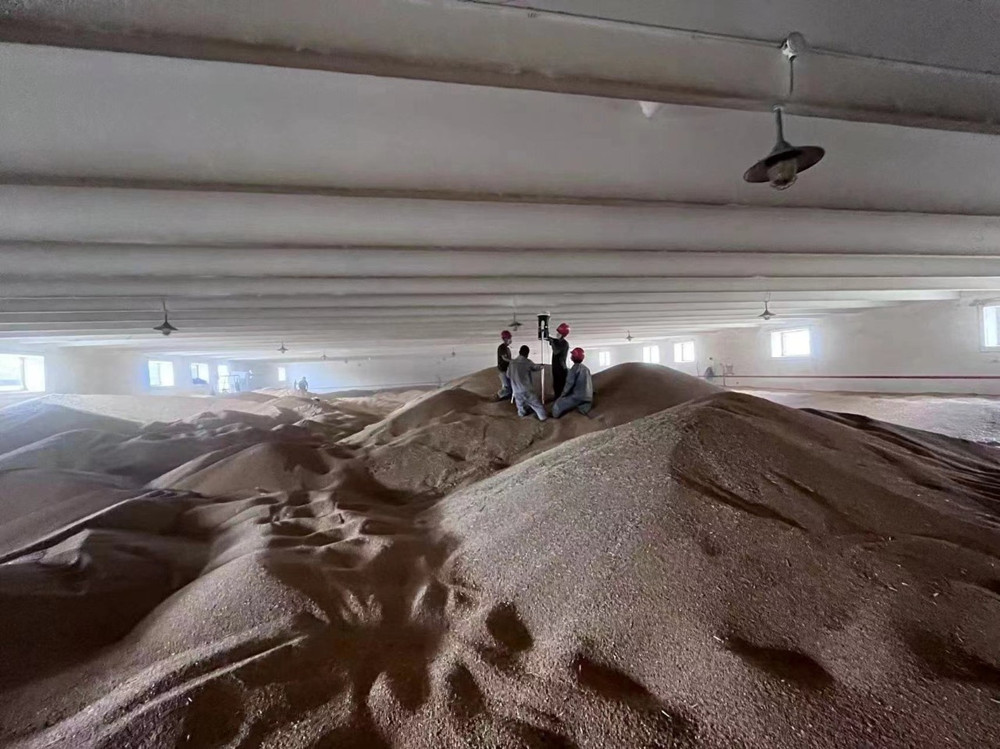惠丰粮食集团圆满完成夏粮收购任务