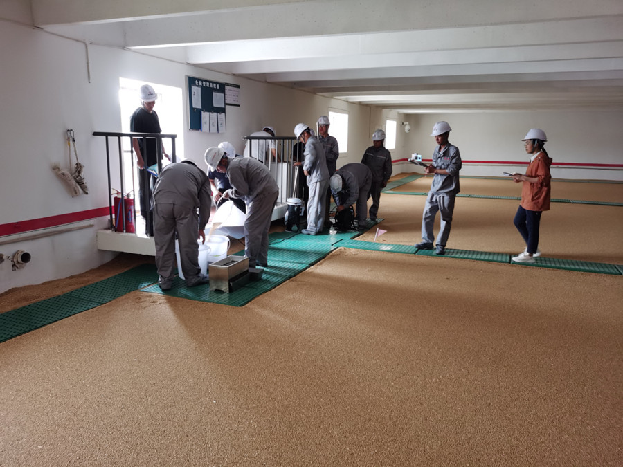山东省政策性粮油库存检查组到购销公司梁山库开展政策性粮油库存检查