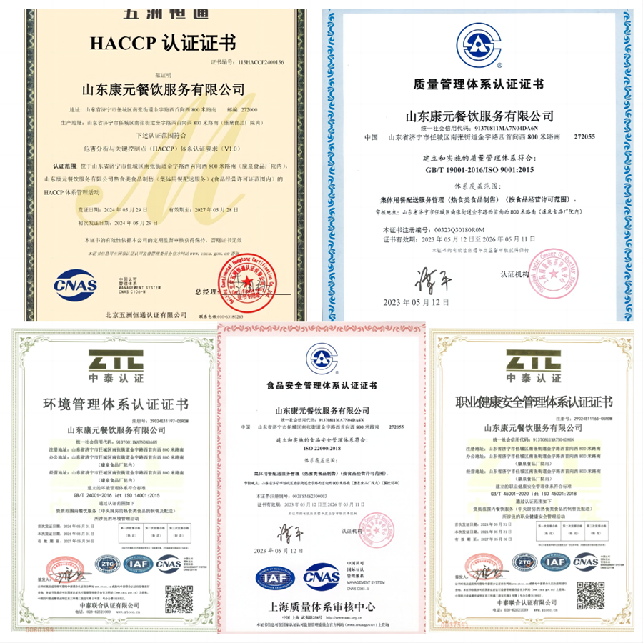 助推企业高质量发展 康元公司成功通过五项管理体系认证