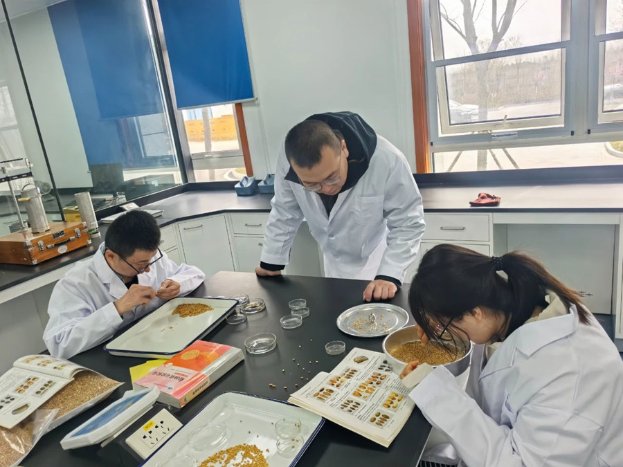 为粮食安全注入强劲“引擎” 惠丰集团开展粮油质量专项培训