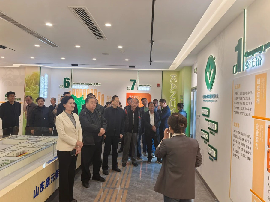 任城区政协主席李翠玲到康元公司调研配餐工作