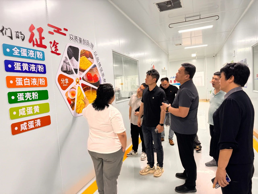 聚力创新共谋发展新局 惠丰集团赴湖北、广东两省考察蛋品产业链