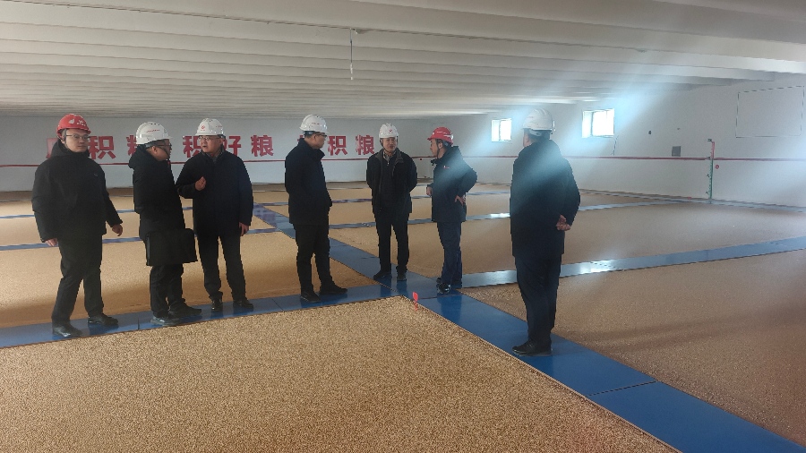跨区交流促提升 共筑粮安新防线——新疆维吾尔自治区粮储局袁海波一行赴惠丰集团第二粮库调研